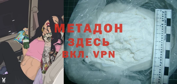 шишки Арсеньев