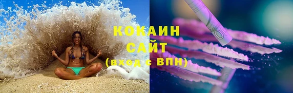 шишки Арсеньев