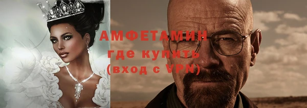 шишки Арсеньев