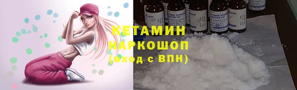 шишки Арсеньев