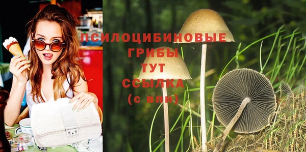 стаф Гусиноозёрск