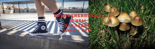 круглые Аркадак