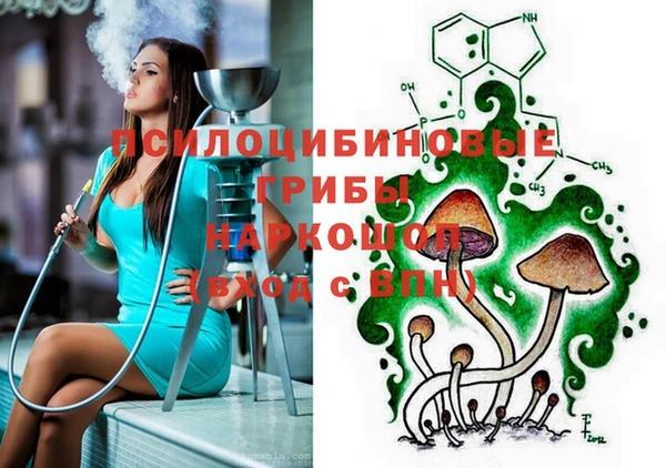 шишки Арсеньев
