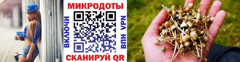где можно купить наркотик  blacksprut как войти  Галлюциногенные грибы Magic Shrooms  Себеж 